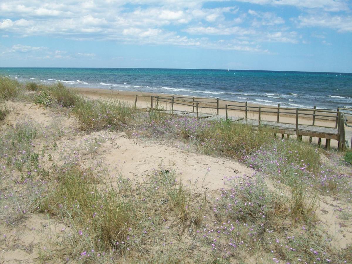 Roderic - Apartamento Junto Al Mar Оліва Екстер'єр фото